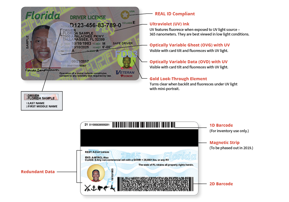 how to check status of fl drivers license